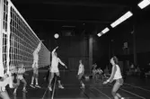 Volleybollmatch mellan de båda lindomelagen Lindome Finska Förening och Trevaren i Ekenskolans idrottshall, Kållered, år 1984.

För mer information om bilden se under tilläggsinformation.