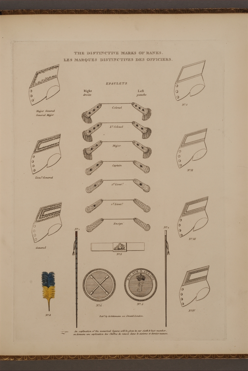 Kjell Hedberg, Plansch with Grades for the Swedish Army, drawn by Frederic Eben in the book The Swedish Army, published in 1808.