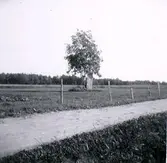 Runsten vid Gärdet, Skånum.