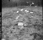 Stenar i ring vid Hornborgasjön.