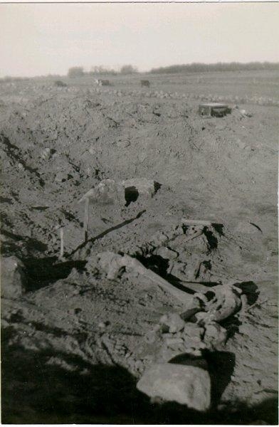 Hilding Svensson, Från utgrävning av Gällshögens gravfält. Våren 1935. Skelettet framgrävt. Stenen med fötterna närmast.
