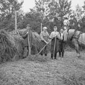 Lantbrukare, fyra män och en häst.
Lantbrukare Hjalmar Hellsten