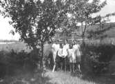Helmer Garthmans familj, utom fadern, samlade för fotografering då det var modern Isabellas 44-åriga födelsedag. Lackarebäck i Mölndal, 1931.