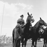 Hästar på Rila (numera Elmia) den 31 maj.