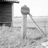 Sankt Olofskällan i Hardemo den 24 maj 1937. På kopparplåten på stocken invid vattenkällan står det skrivet: 