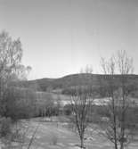 Utsikt över Nyhyttan.
28 januari 1938.