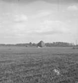 Höstackstenen, Venan, Örebro.
28 maj 1944.