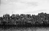 Publik på simtävling med finska gäster, Fyrisån, Uppsala 1945