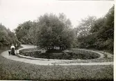 Planteringsförbundets park, Svandammen.