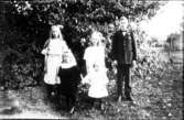 Plåtslagare Otto Johanssons barn (Friborg, Sörby): Svea, Signe, Lilly Alice och Gustav.