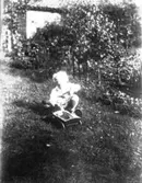 Karin och Axel Lindholms son Sven leker i Ringmans trädgård. Uthuset i Karl Anderssons trädgård bakom.