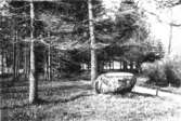 Planteringsförbundets Park. Ballersten är en stor sten, som vid järnvägsbygget måste vräkas från sin ursprungliga plats vid Ranten. Den låg på hemmanet  Ballersten nära 