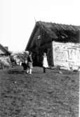 Alfhild Hall, Sigrid Fredriksson (syster till Alfhild) och Lars Adolphsson.1929 Lindåsen.