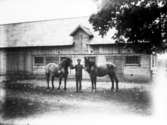 I Skumme, Erik Öhrnell med hästarna Flora och Bella, båda inköpta på marknad i Falköping. Ladugården byggdes 1927.