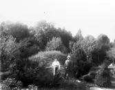 Alphems arboretum, Amanda och Frans Johan Gegerfelt, bakom stugan vid källarebacken. Fågelbadet i högra nedre kanten.