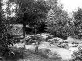 Alphems arboretum, en del av 