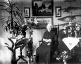 Carolina Aronsson (död 1924) i sitt hem.