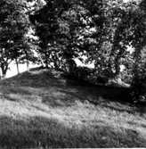 Hornborga kyrkoruin. Från förundersökningen 1954.