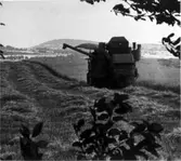 Skördetid. I bakgrunden eventuellt Borgundaberget.