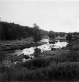 Grottbildning i kalkstenslager. Hornborgaån i Hornborga by.