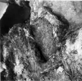 Stenkista framgrävd vid nybygge 1960 på torpställe under Seltorp.