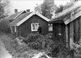 Stugorna vid Grannabacke, Segerstad. Stationsmäst. Hugo Sköld tittar en i en av stugorna.