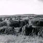 Oxlatomten, Kisakullarna.