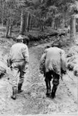 Besök på Gerumsmantelns fyndplats. På väg mot Hjortmossen juni 1967. Nils Fredrik Beerståhl och Erik Rydberg.