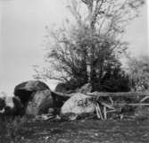 Ledsgården. Gånggrift mellan gårdshusen. Före uppsnyggningen våren 1956.