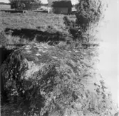 Offersten i Naglarp. (Naglarpsstenen).