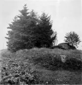 Glaskulla gånggrifter. Den södra gånggriften från sydväst.