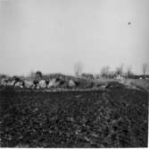 Fornlämning nr 10 i Hilding Svenssons inventering.