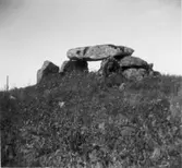 Knaggårdens gånggrifter. Sahlströms förteckning nr: 97.