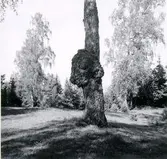 Grimstorp, Ekängen.