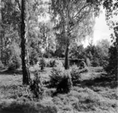 Grimstorp, Ekängen.