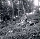 Löväng på Kyrkokvarns marker, kalkstensberg i dagen.