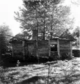 Hagatomten. Ektimrad bod.