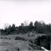 Göksoran. Bevarad hedmark.