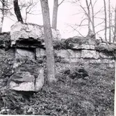 Östergårdens äng våren 1961.