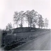 Kartagården, Skår. Bronsåldersröse från sso.