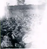 Bronsåldersröse. Röset från dess topp.