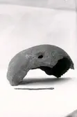 Ledsgården, Gökhem. Trepanerat kranium. 1.500 år gammal. Gammal synål, 12 cm.