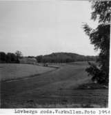 Lövberga gods. Varkullen. Foto 1954 taget från en moränås c:a 1 km norrifrån. Lövberga ladugård synes på bilden.