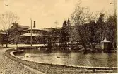 Mössebergsparken, stora svandammen.