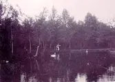 Mössebergsparken och svandammen.