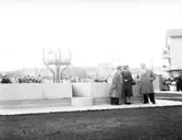 S:t Sigfridsplatsen. Invigningen av brunnen 1954, konstverk av konstnär Margot Hedemann. Brunnskar: Granit/brons. Inköpt 1933.