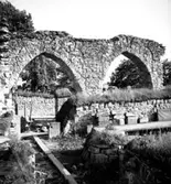 Gudhems klosterruin.