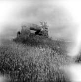 Knaggårdens gånggrift.