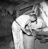 Bo Ericson på logen.