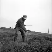 Vitalis Johansson, Stommen, Smeby.